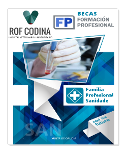 becas TSFP