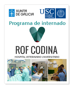 becas internado
